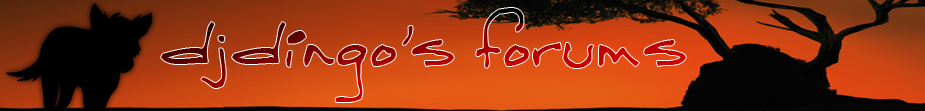 djdingo.com Forum Index